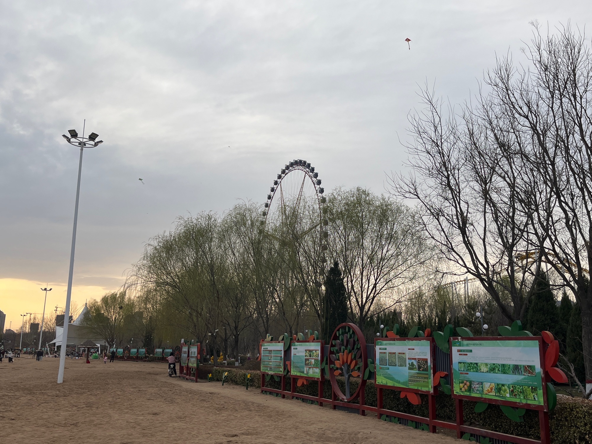 七里河沙滩公园旅行图片 3