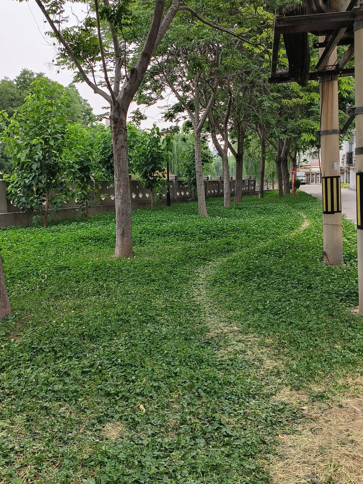 七里河沙滩公园旅行图片 1