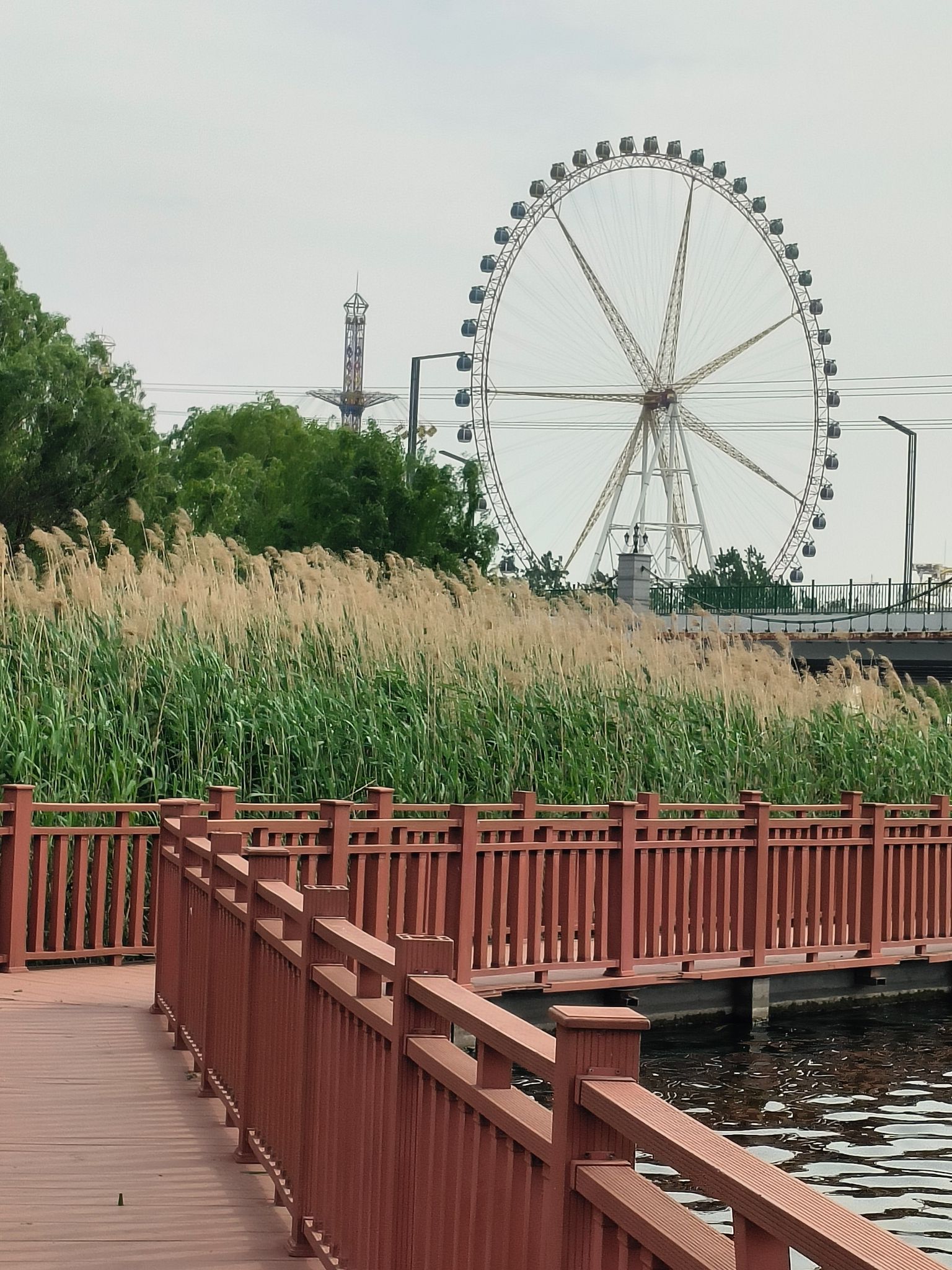 七里河沙滩公园旅行图片 2