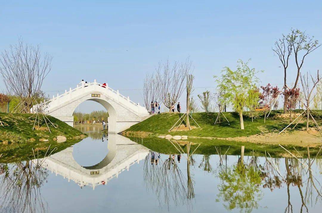 淮阳主题森林公园·梅园旅行图片 2