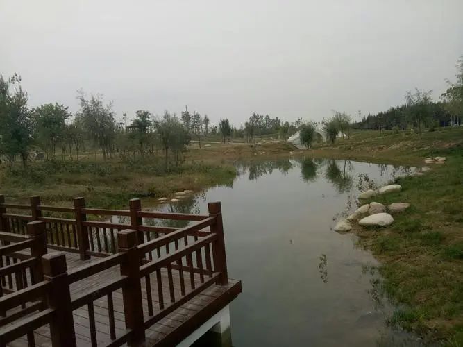 淮阳主题森林公园·梅园旅行图片 3
