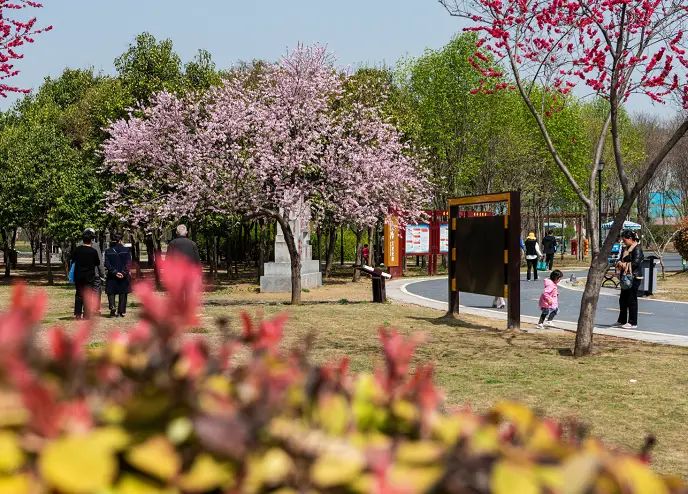 淮阳主题森林公园·梅园旅行图片 2