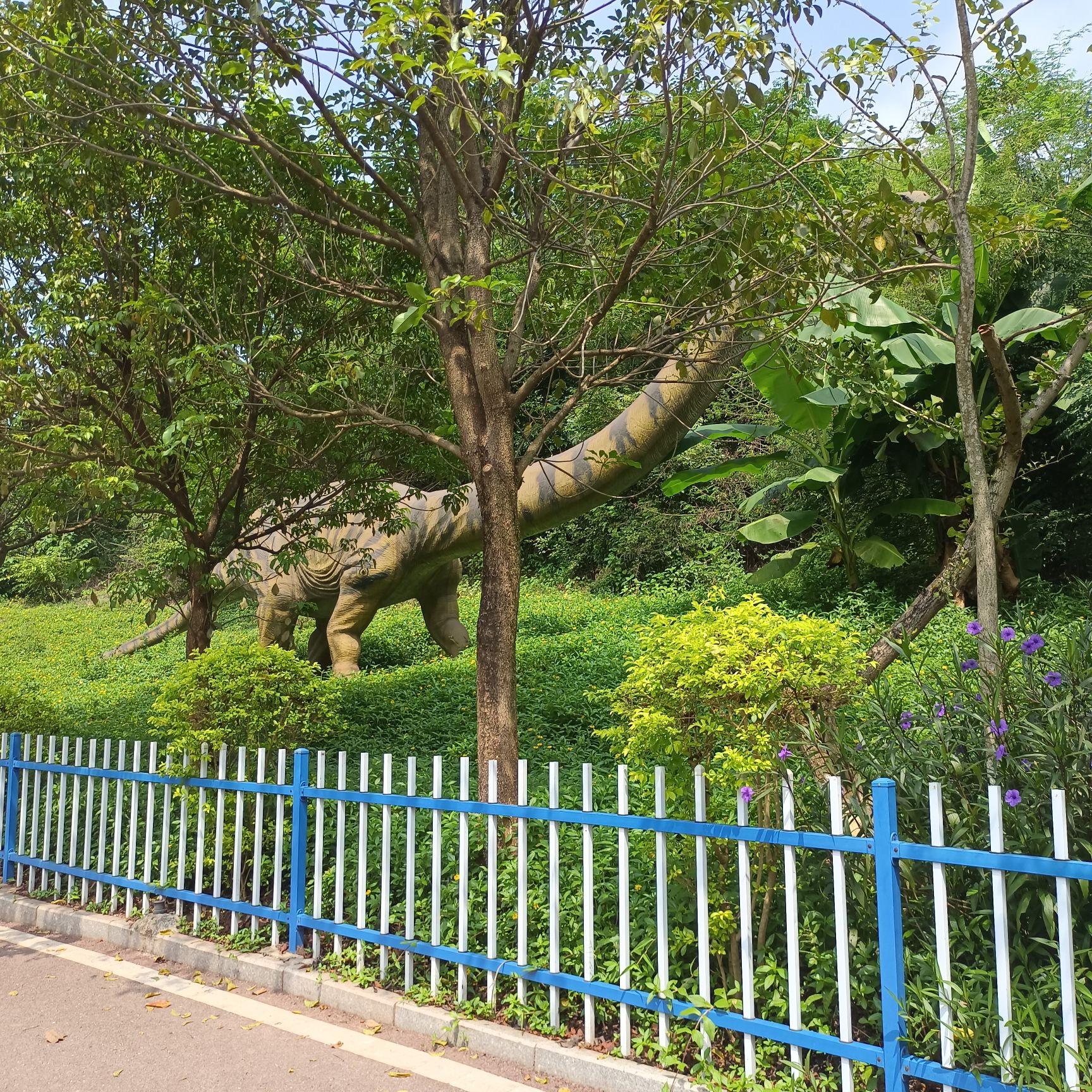 雄州公园旅行图片 3