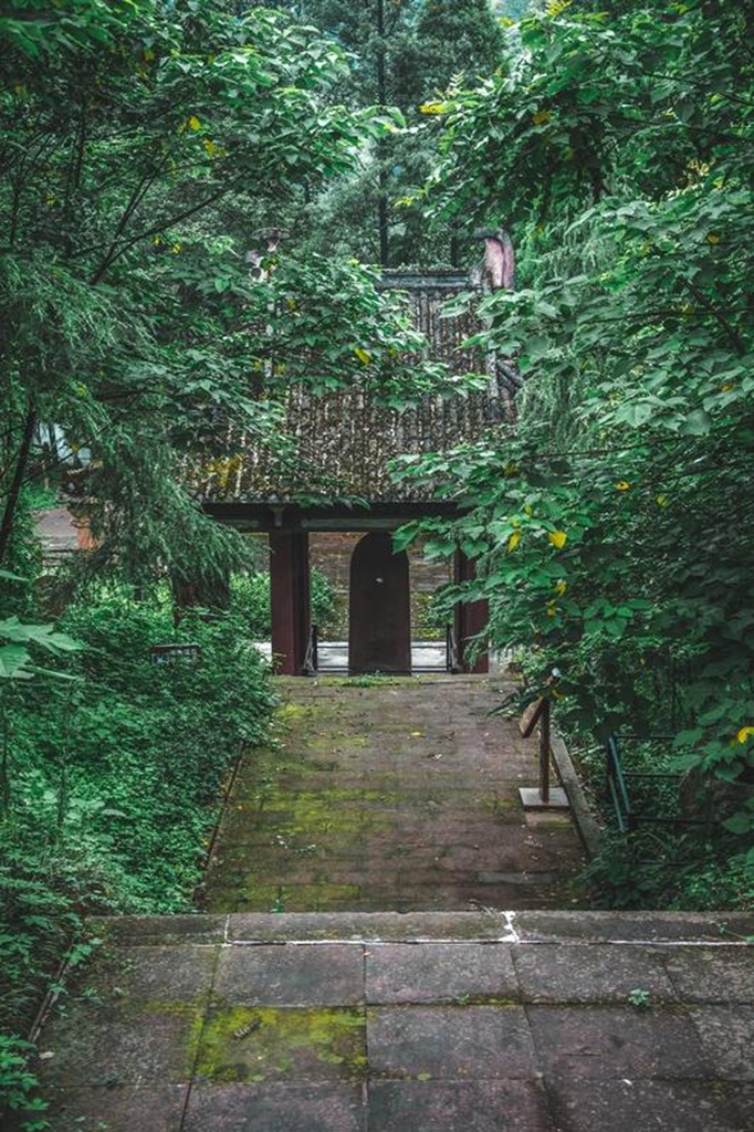 樊敏阙旅行图片 3