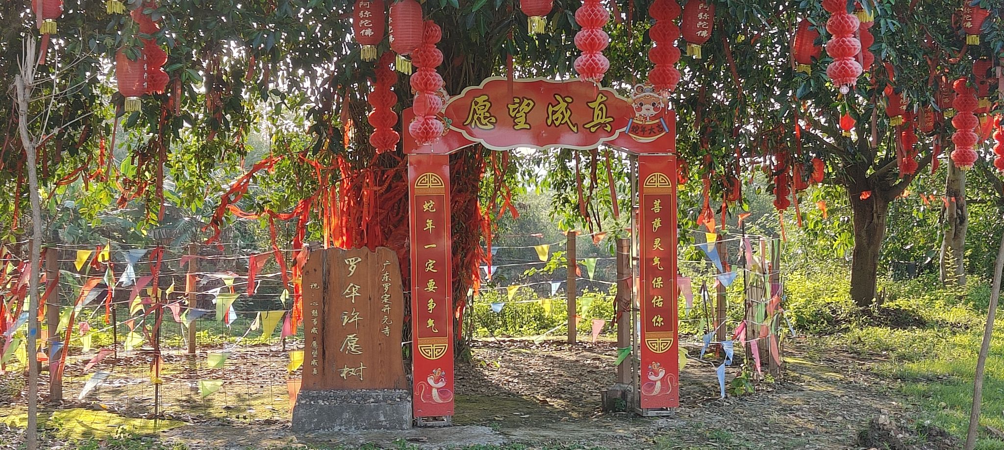 罗定开元寺实景照片