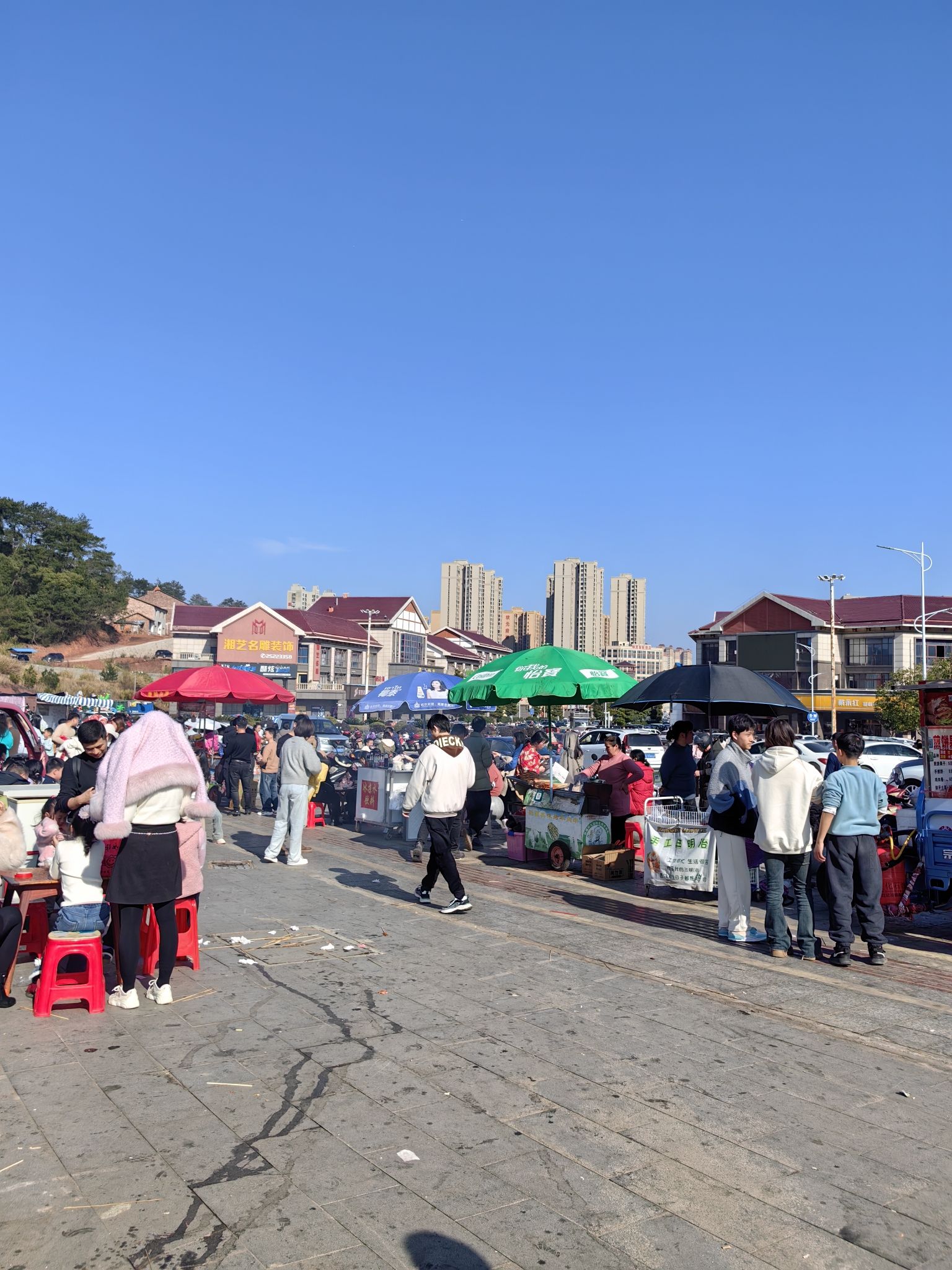 中华茶祖文化园旅行图片 2