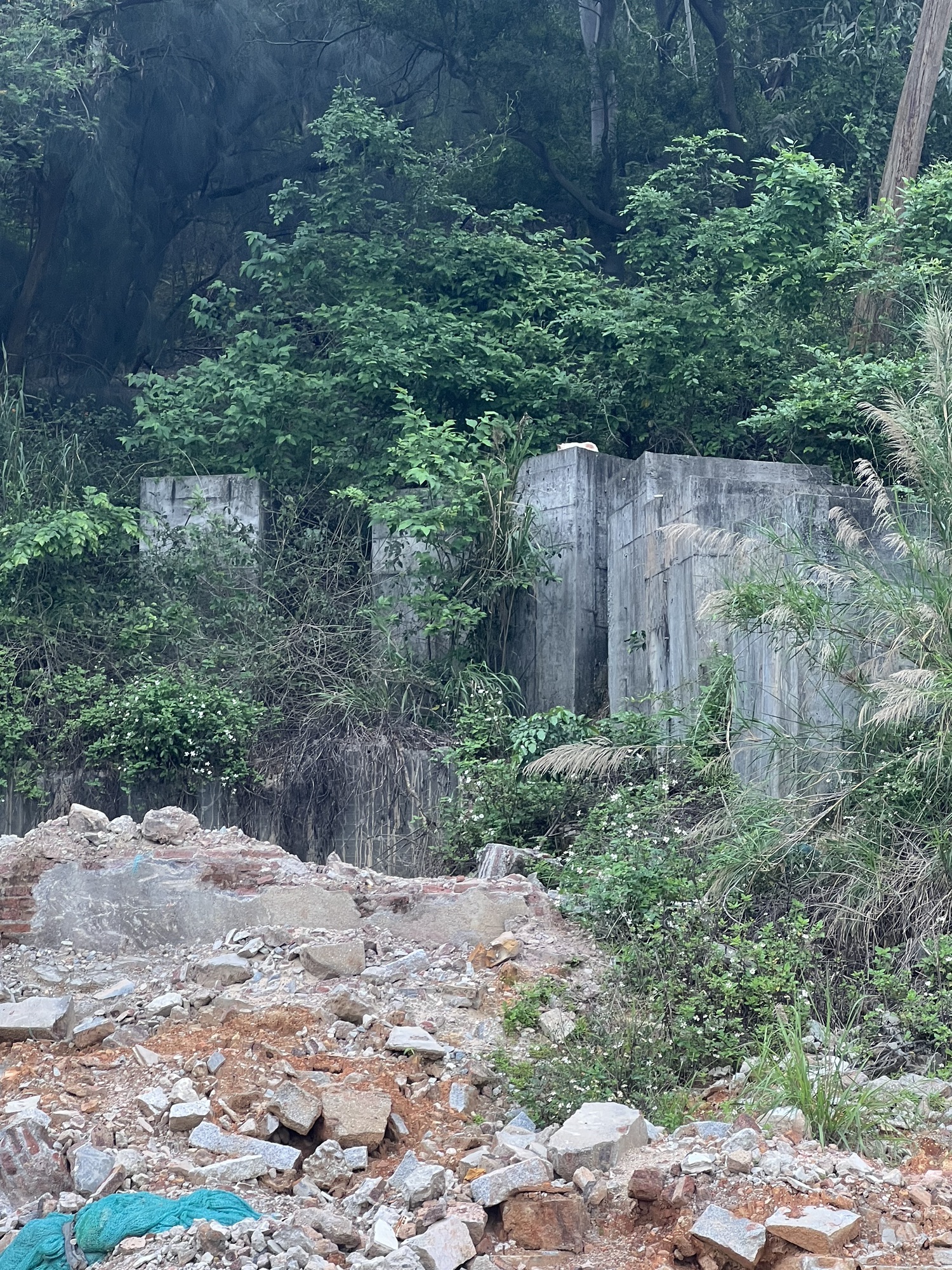 牛头山旅行图片 2
