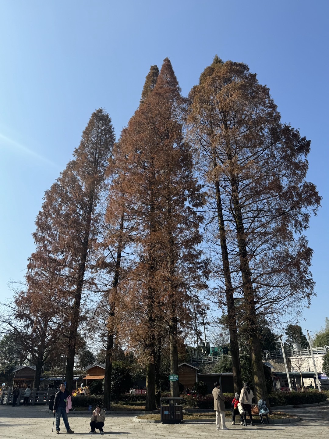 常德太阳山森林公园旅行图片 2