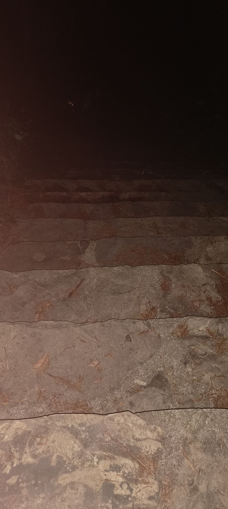 常德太阳山森林公园旅行图片 1