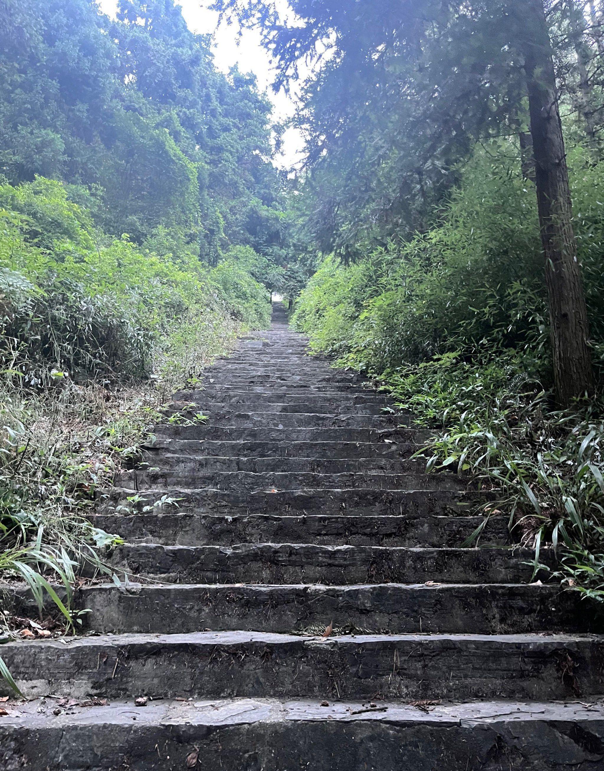 常德太阳山森林公园旅行图片 1
