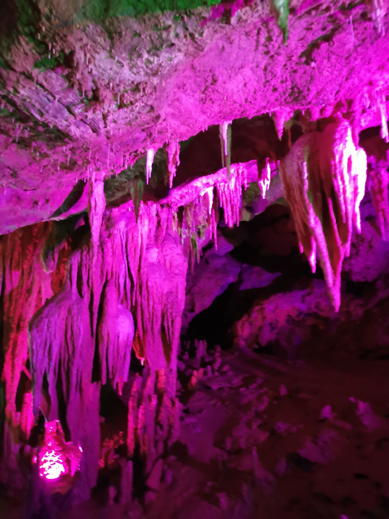 新化梅山龙生态恐龙园旅行图片 3
