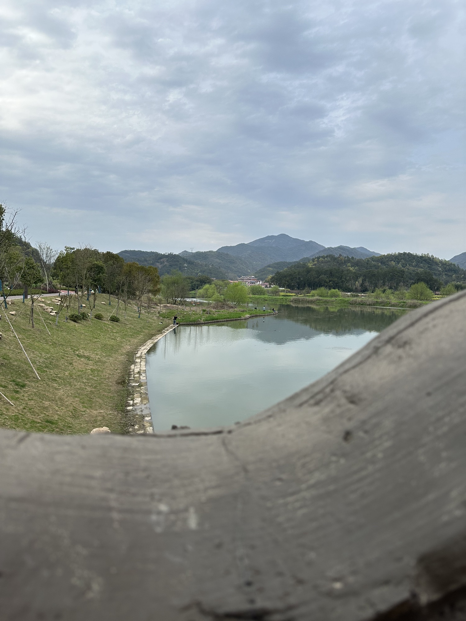 武义坛头湿地公园旅行图片 3