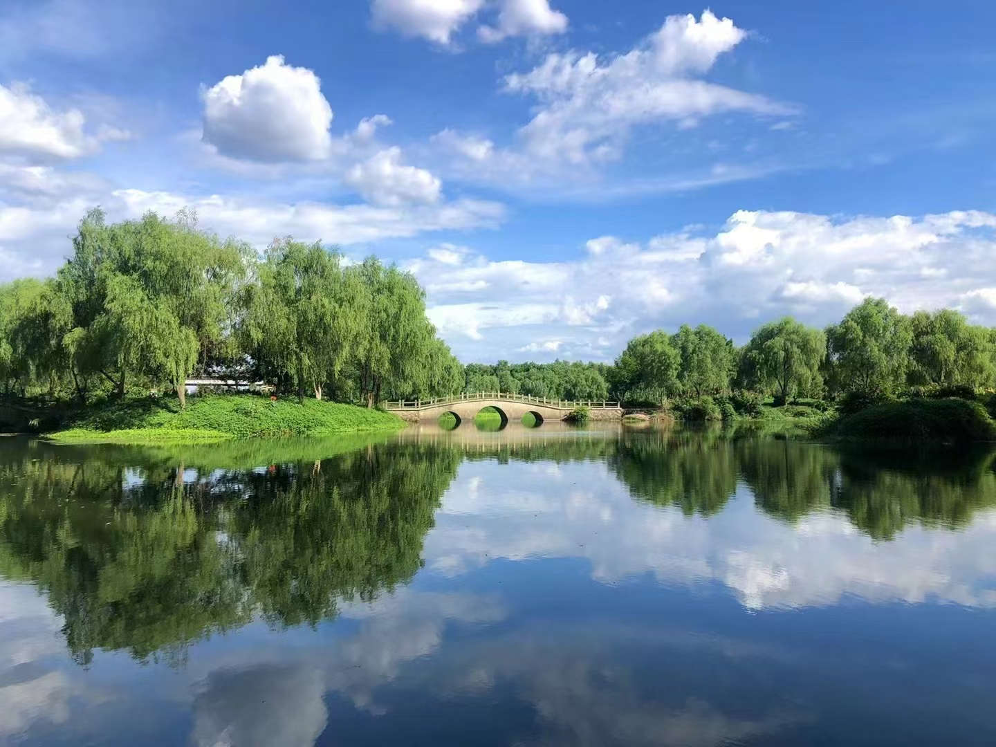 武义坛头湿地公园旅行图片 1
