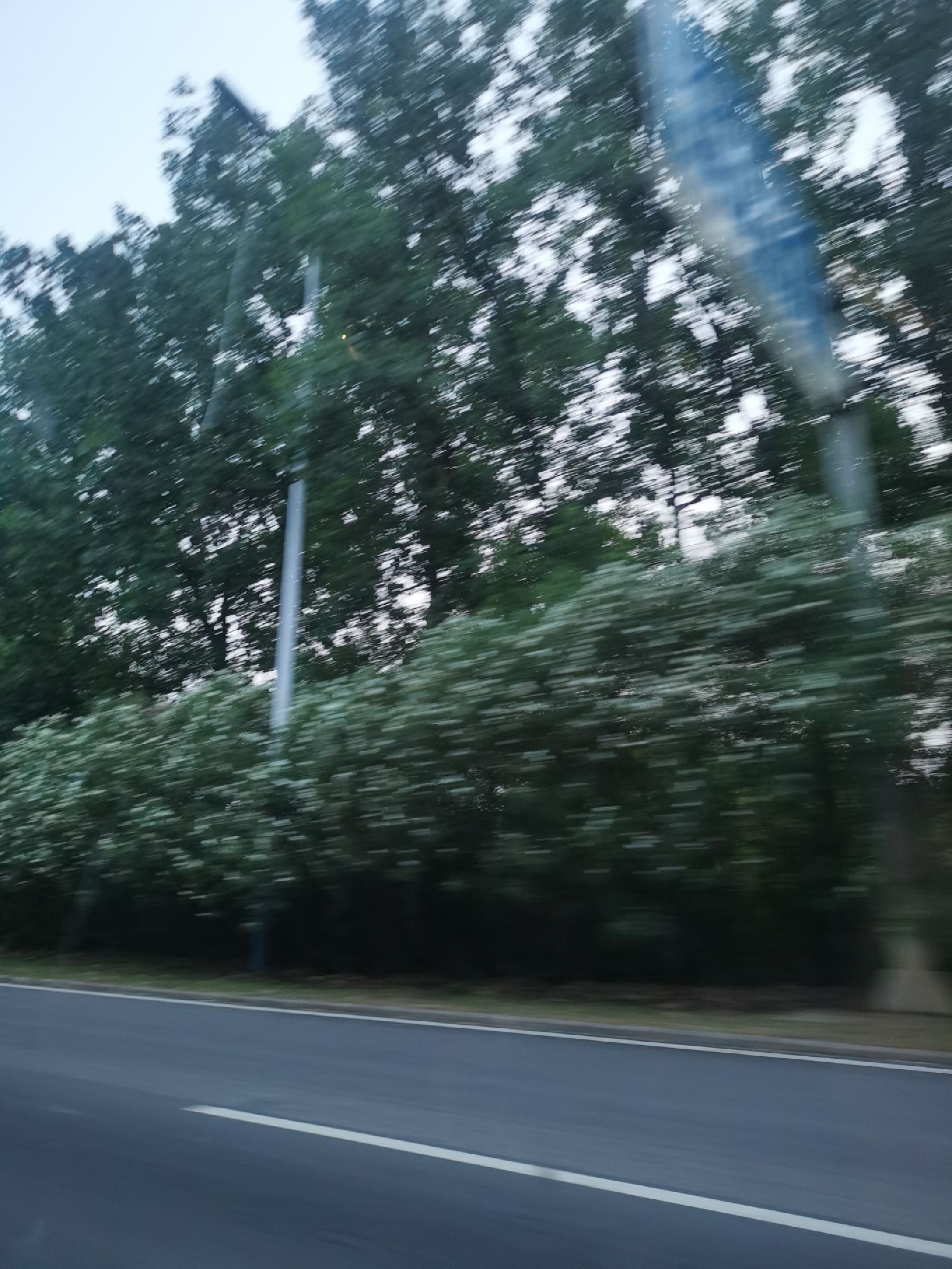 吉宝生态公园旅行图片 2