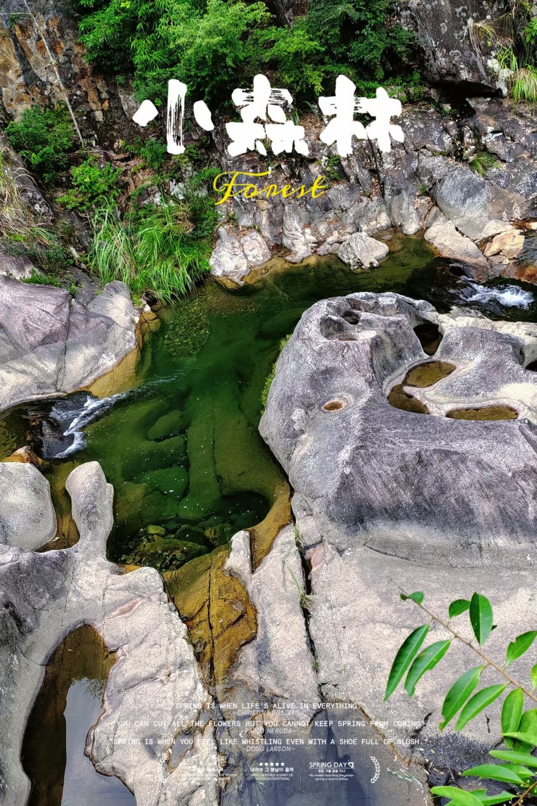 白云山风景名胜区旅行图片 1