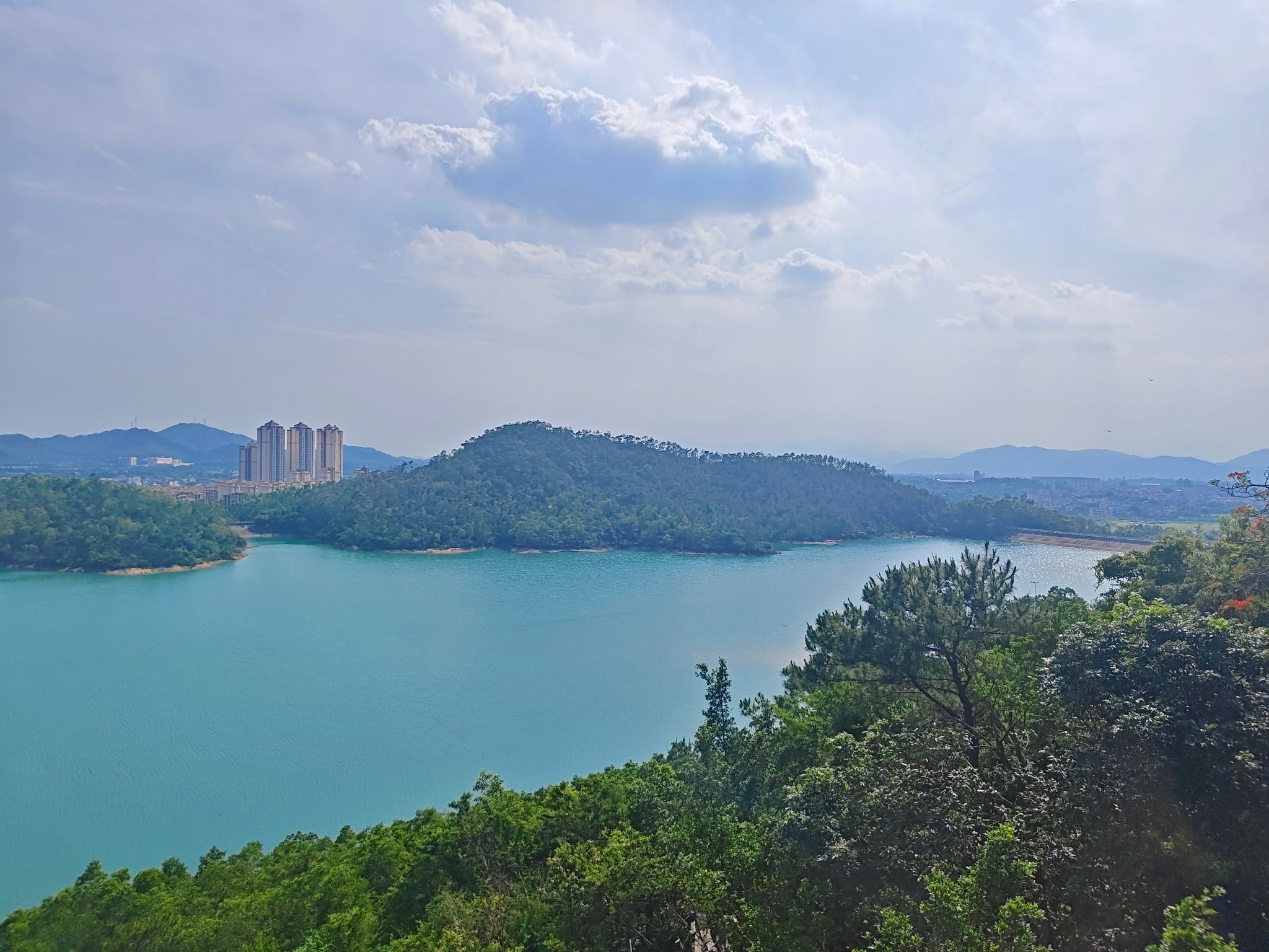 黄杨山森林公园旅行图片 3