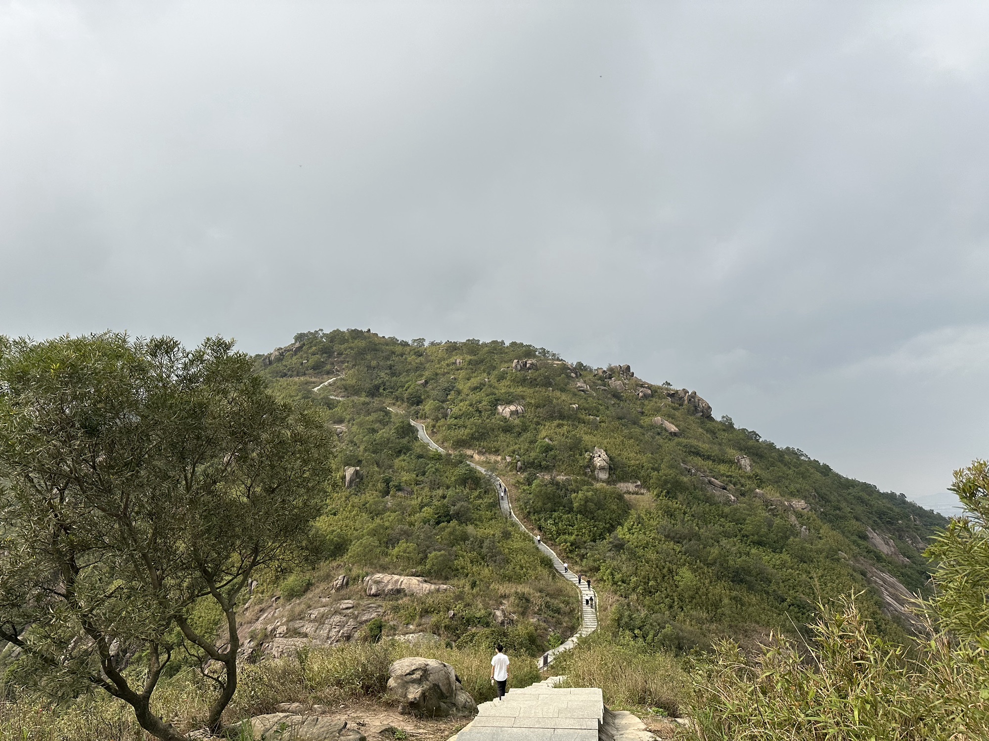 黄杨山森林公园旅行图片 1