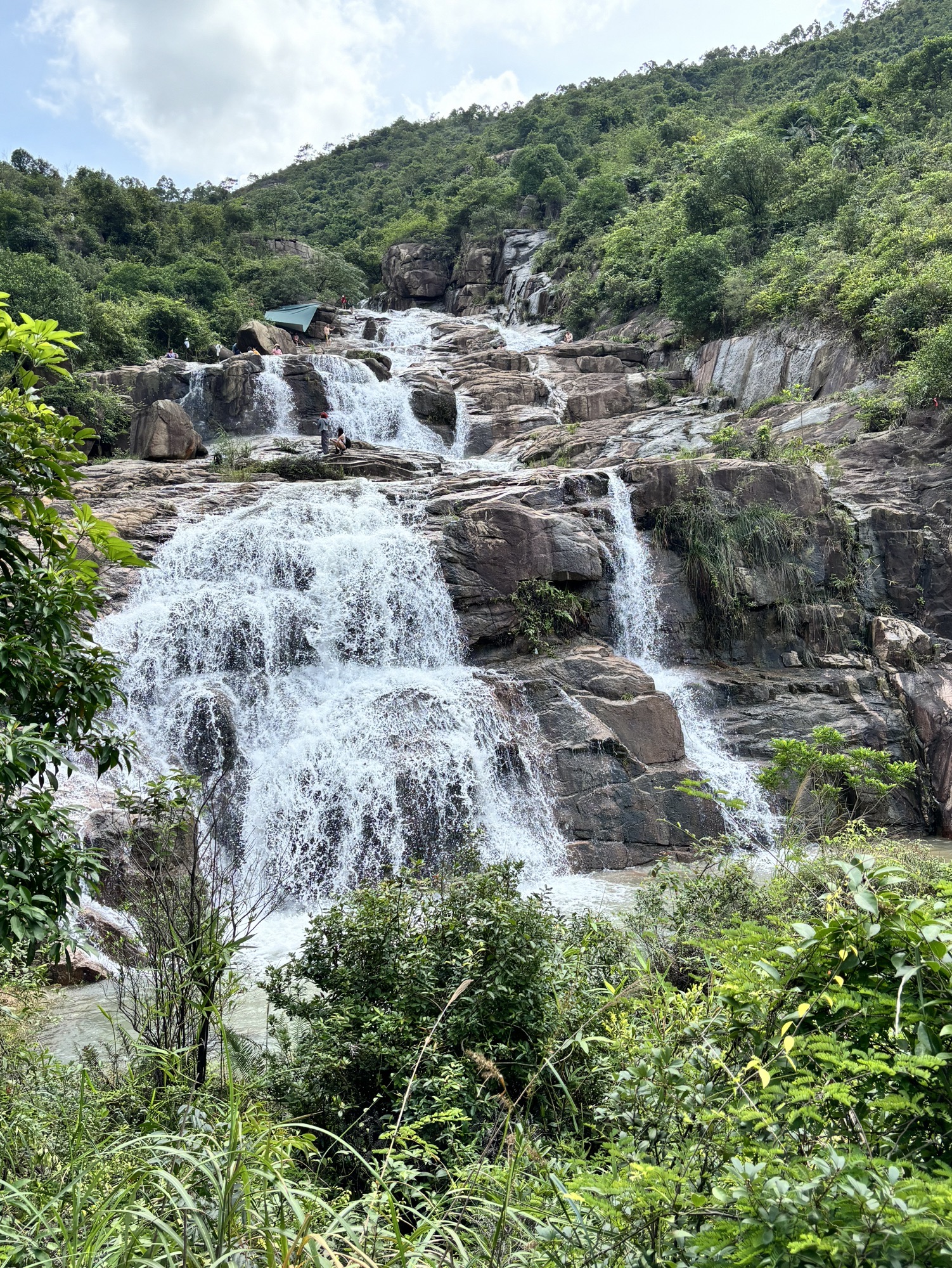 黄杨山森林公园旅行图片 1