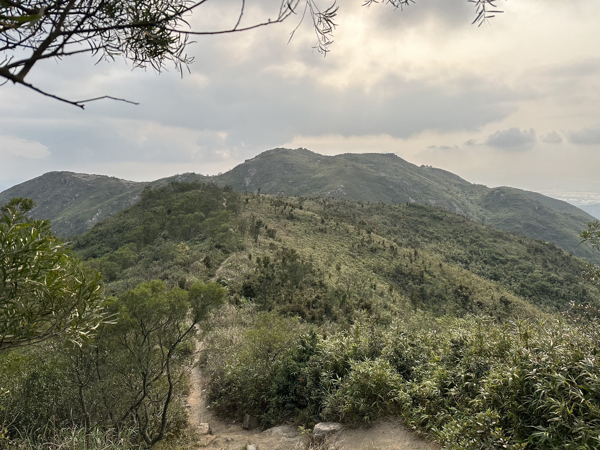 黄杨山森林公园旅行图片 2