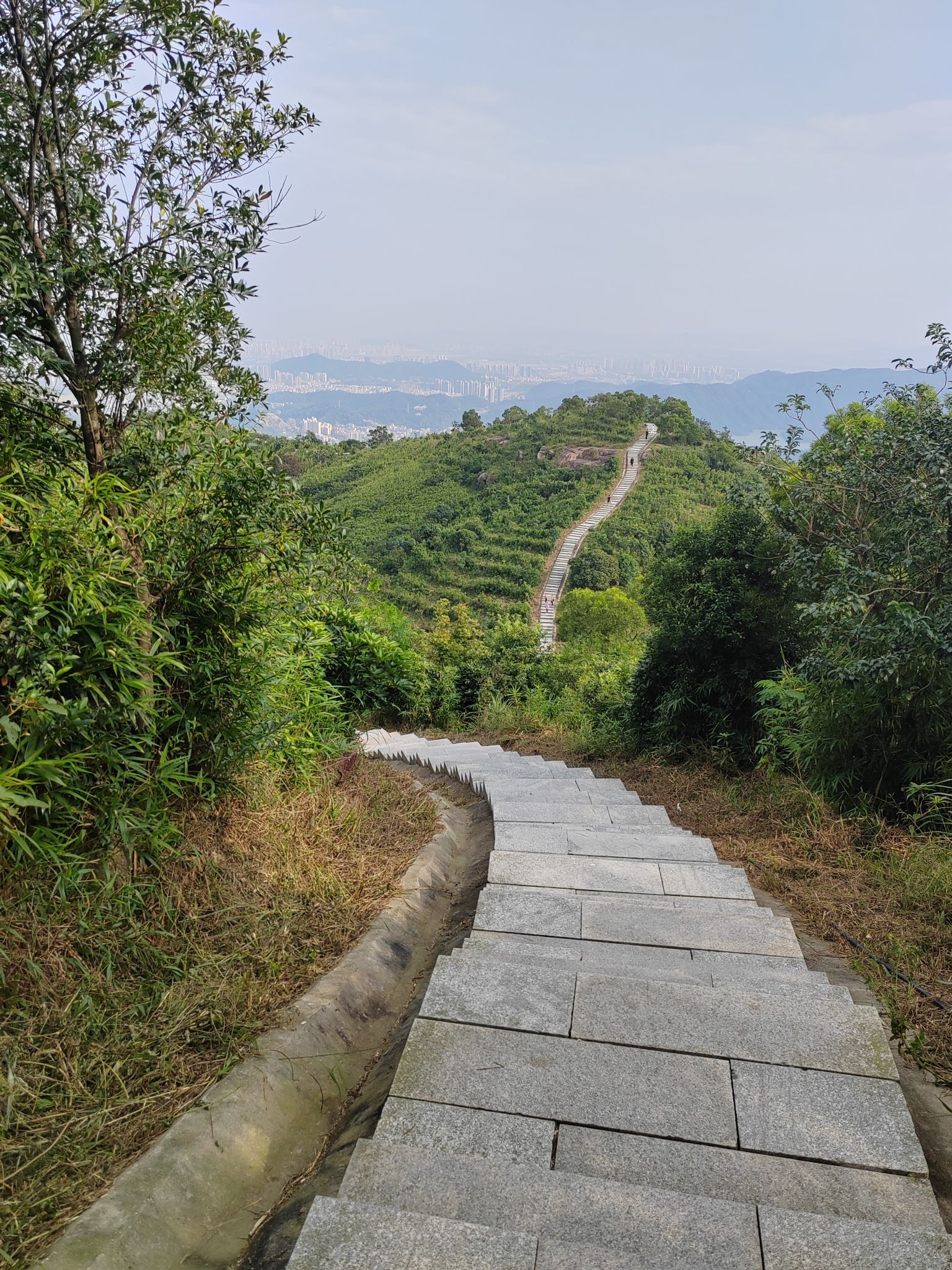黄杨山森林公园旅行图片 2