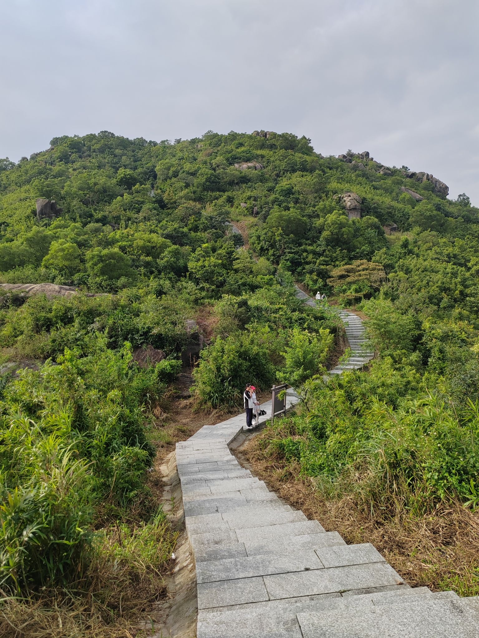 黄杨山森林公园旅行图片 1