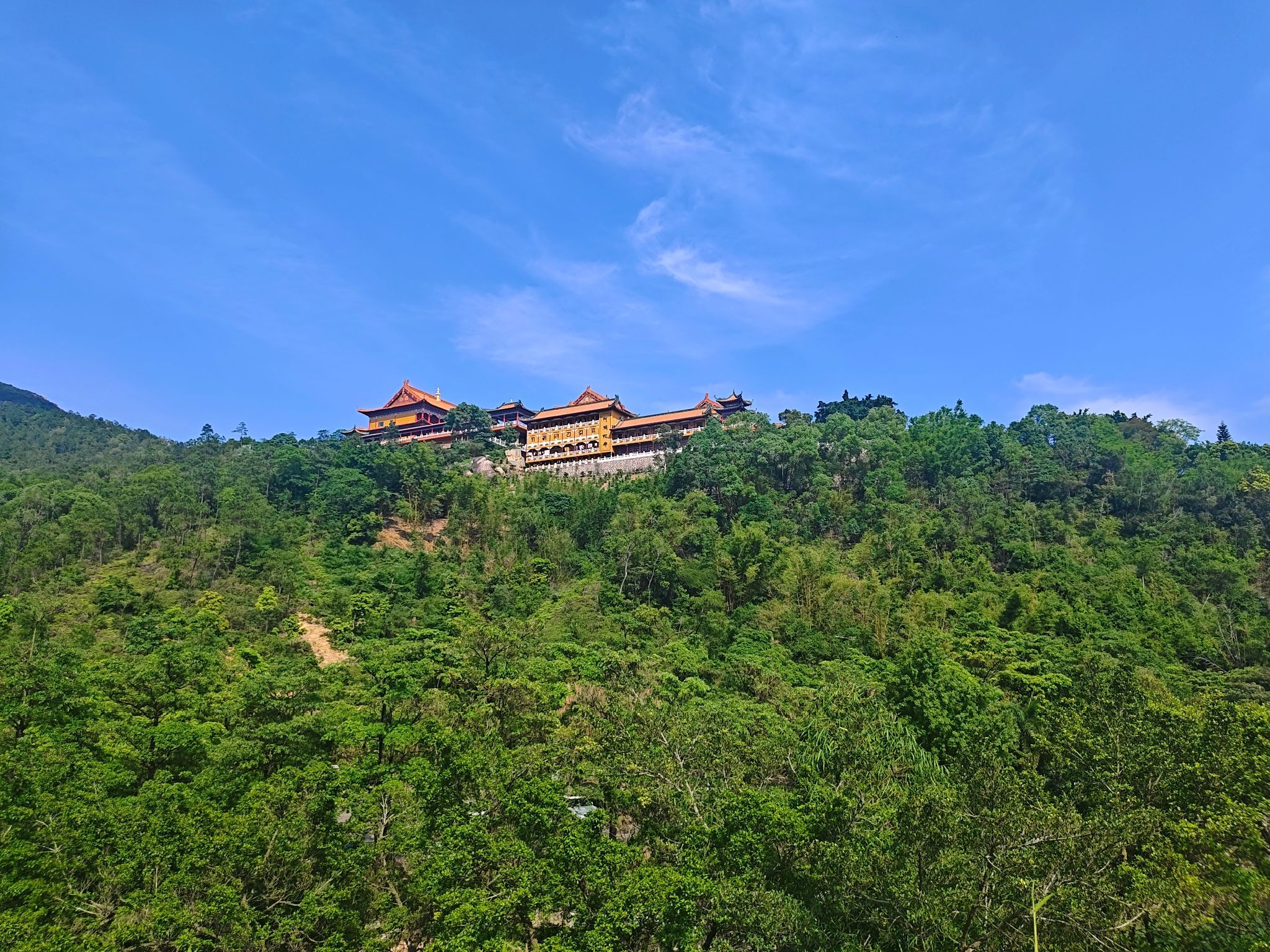 黄杨山森林公园旅行图片 2