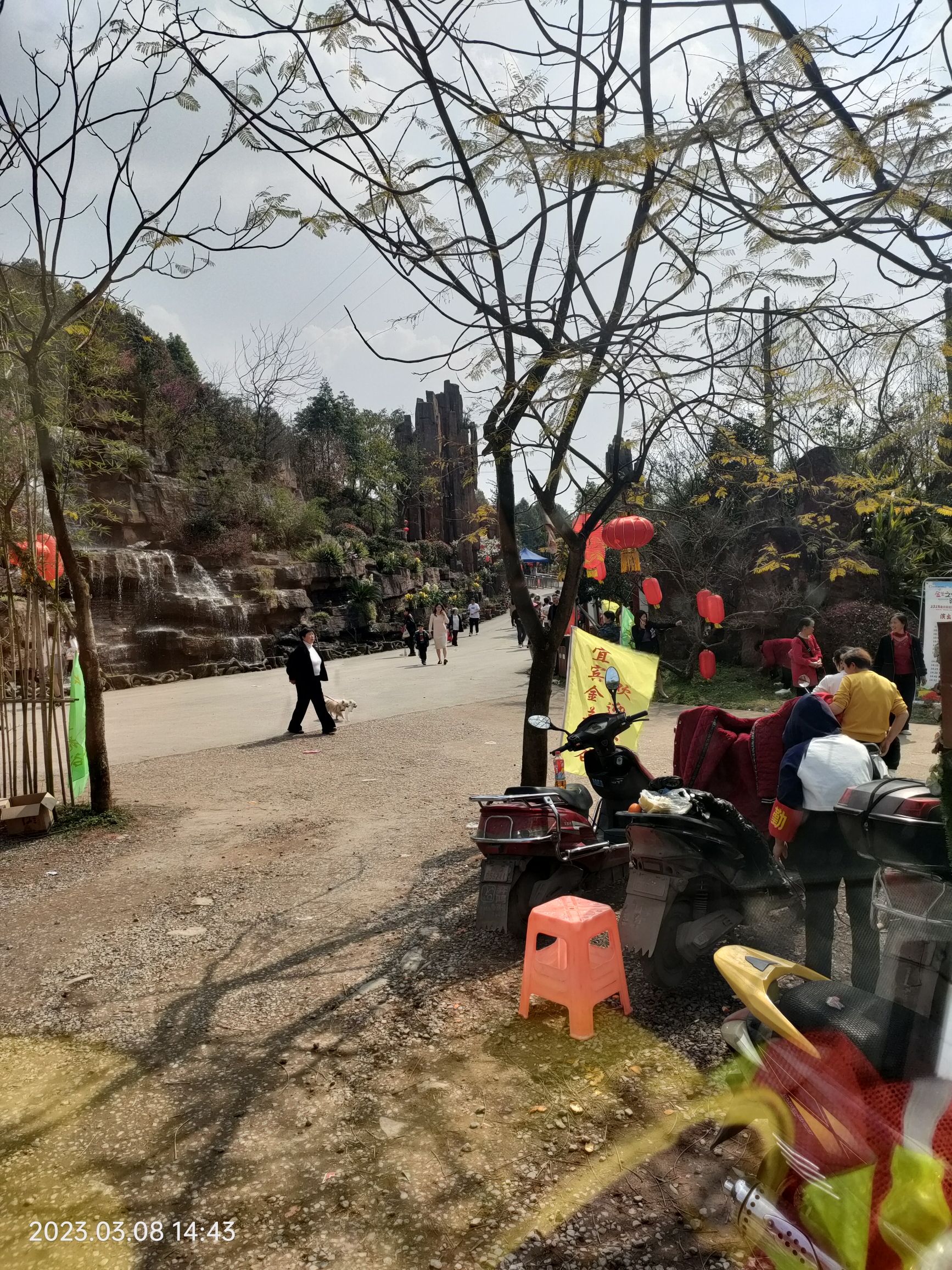 金兰花谷旅行图片 3