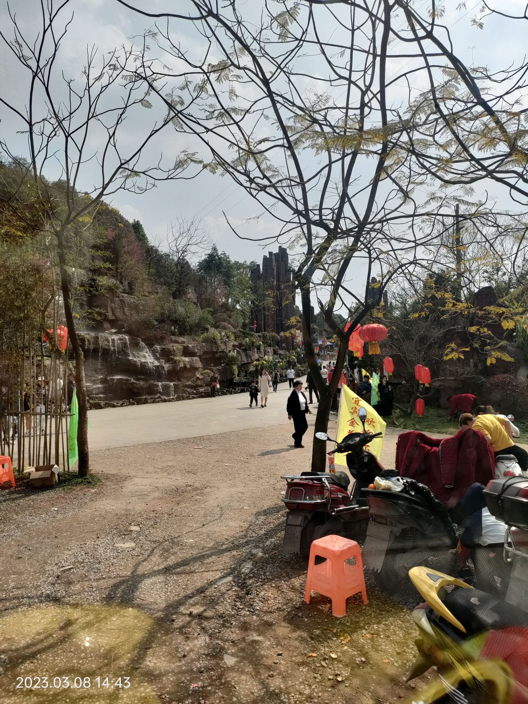 金兰花谷旅行图片 2