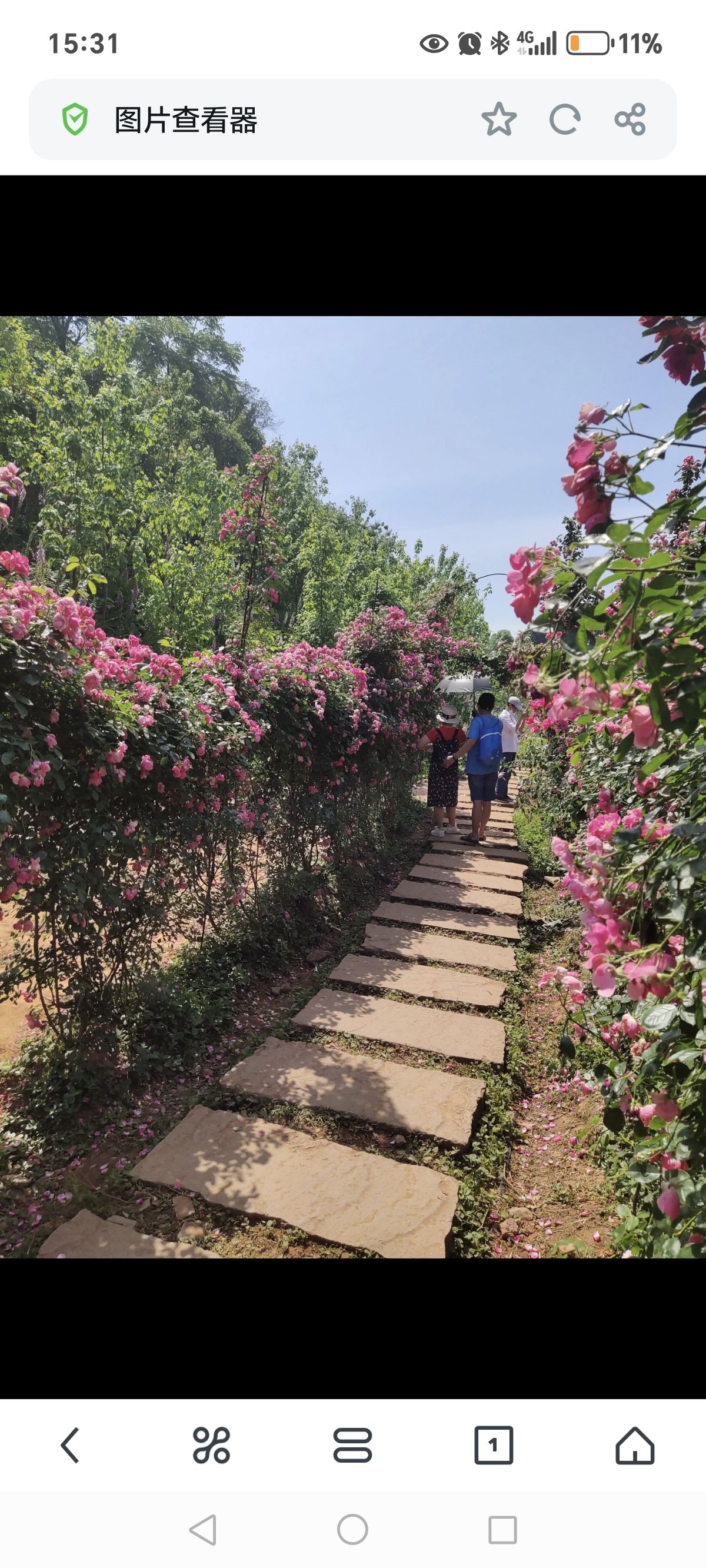 金兰花谷旅行图片 3