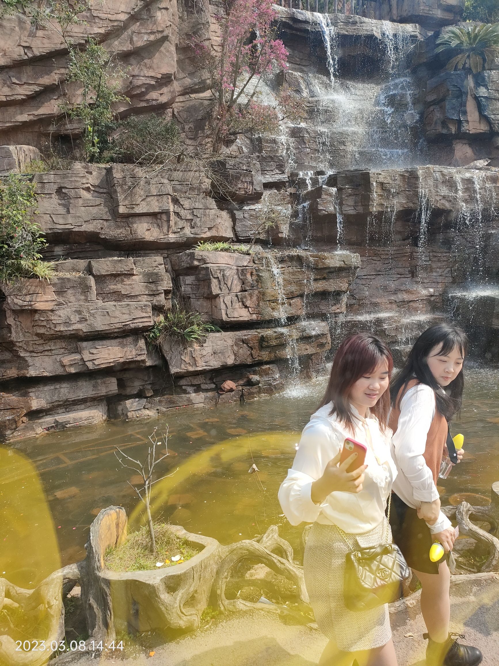金兰花谷旅行图片 1