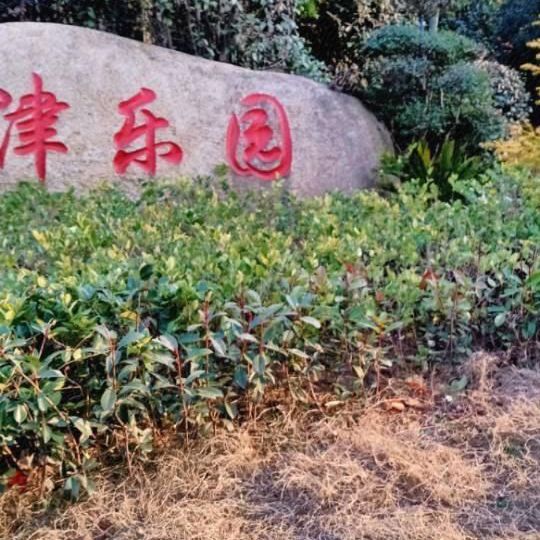 丰乐山庄津乐园
