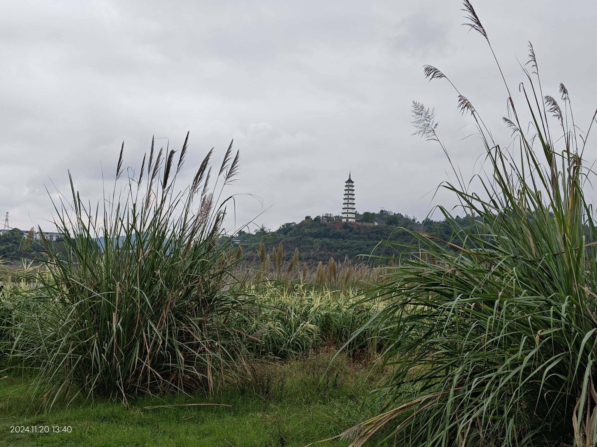 安居国家湿地公园旅行图片 3