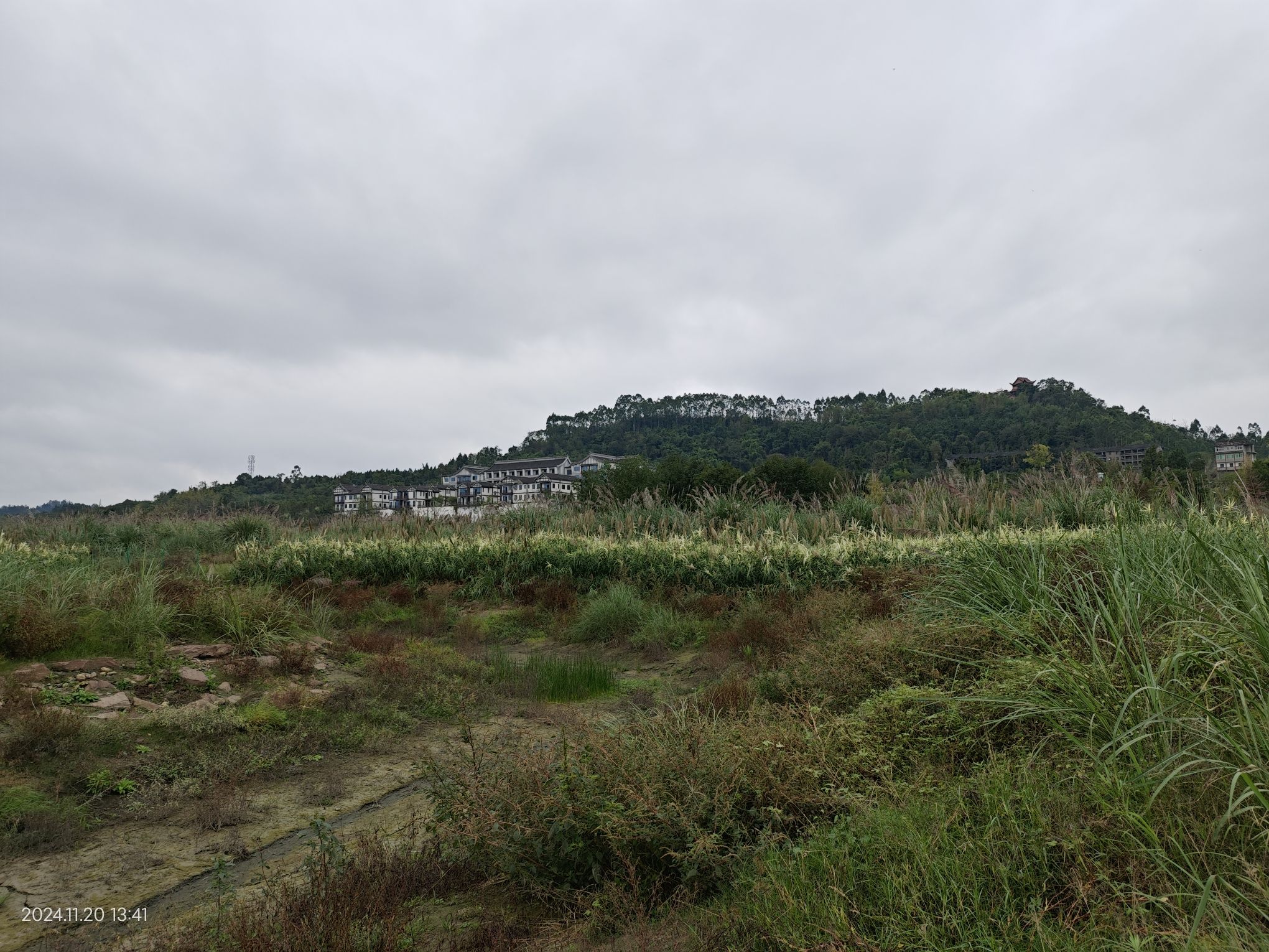 安居国家湿地公园旅行图片 2