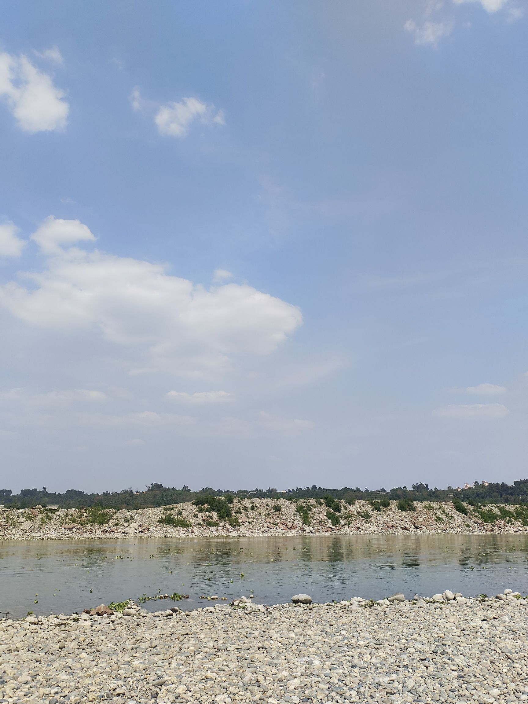 苏堤公园旅行图片 3