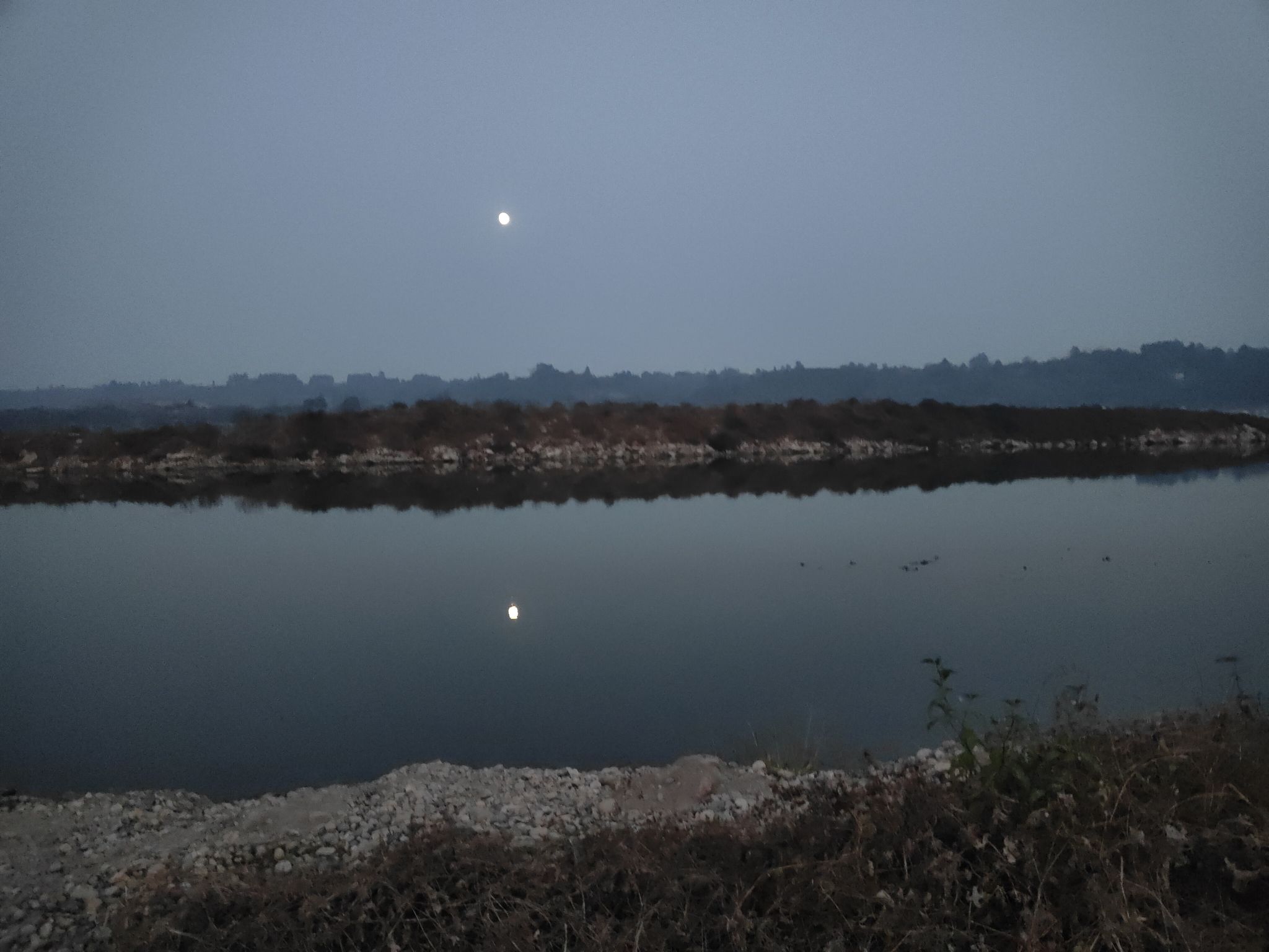 苏堤公园旅行图片 1