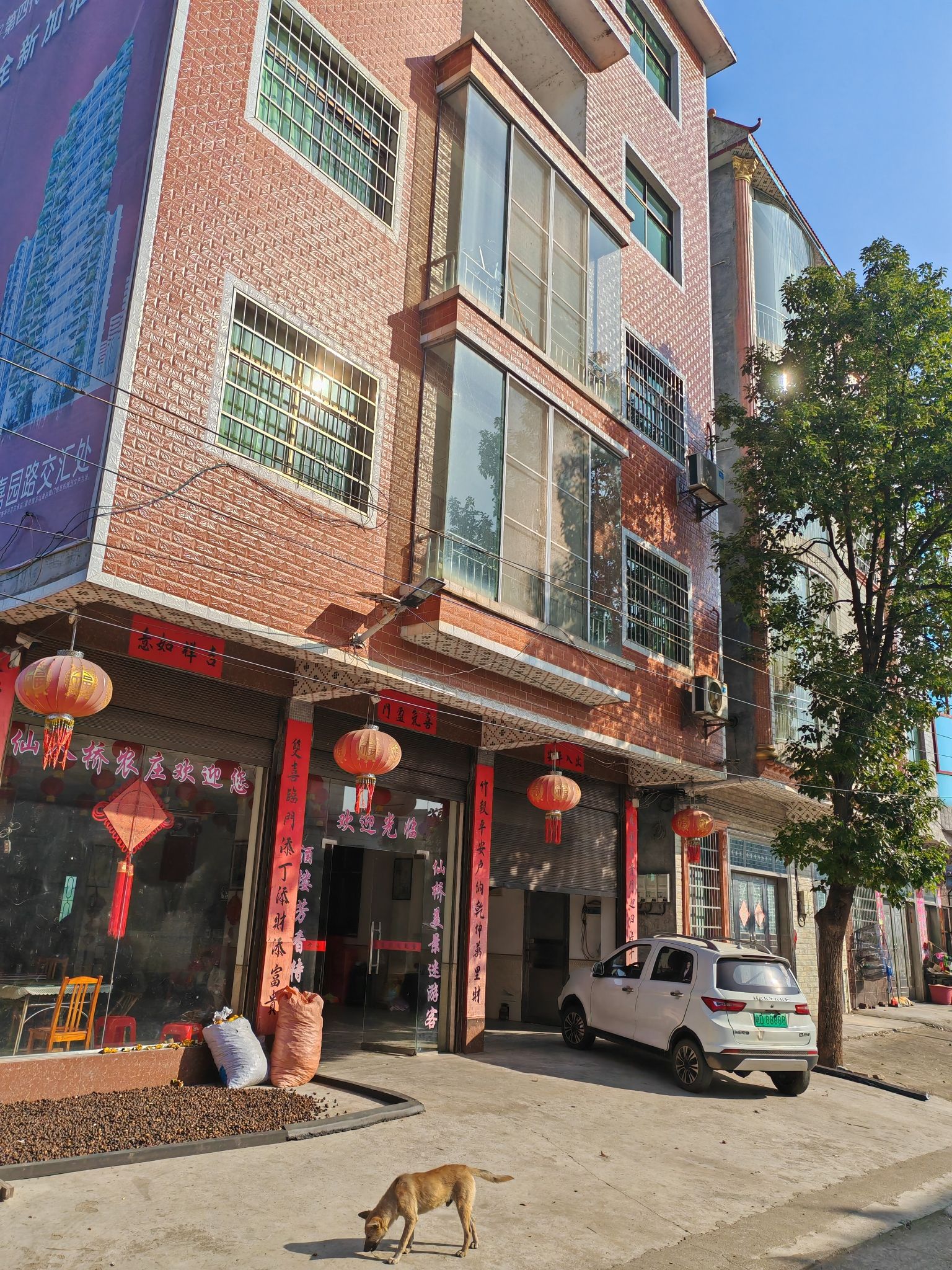 仙人桥旅行图片 3