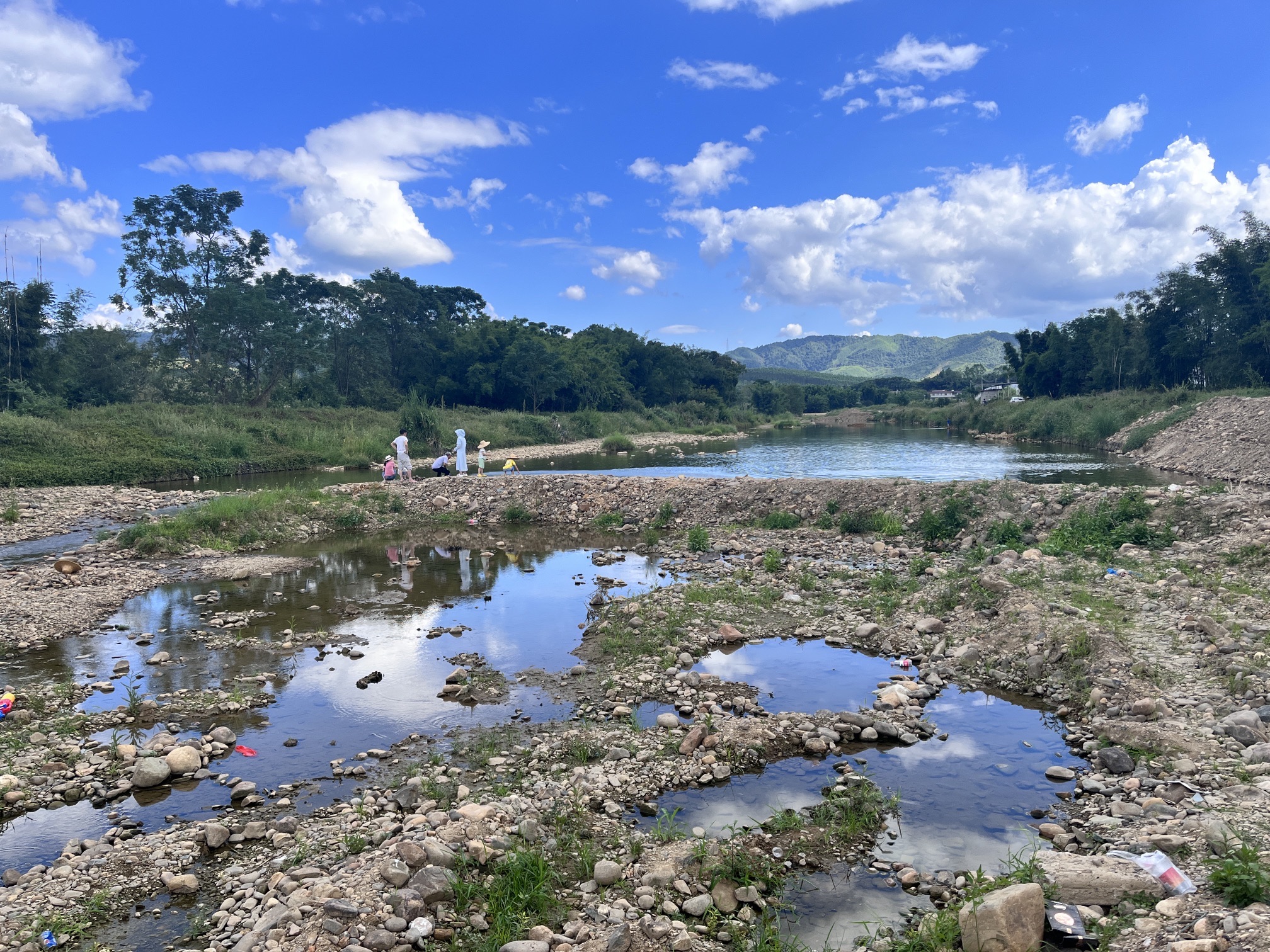 秀田古树旅行图片 3