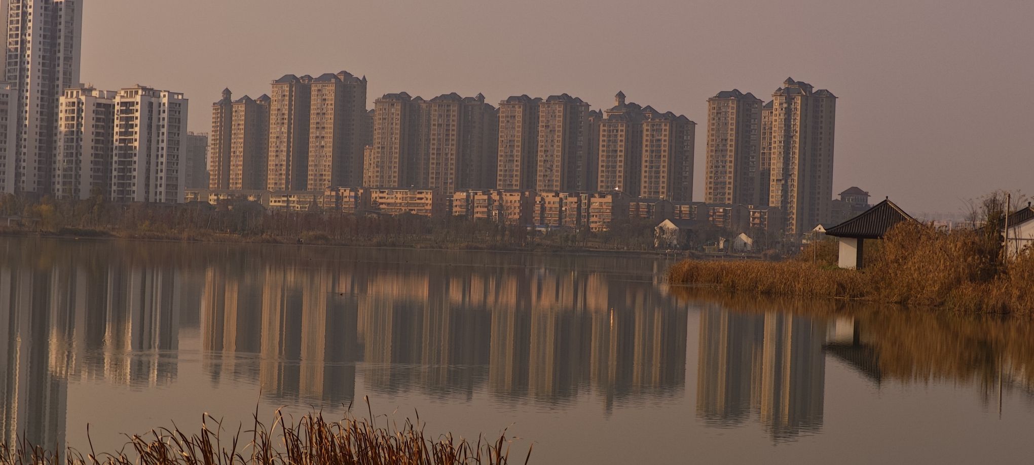 酃湖公园旅行图片 3