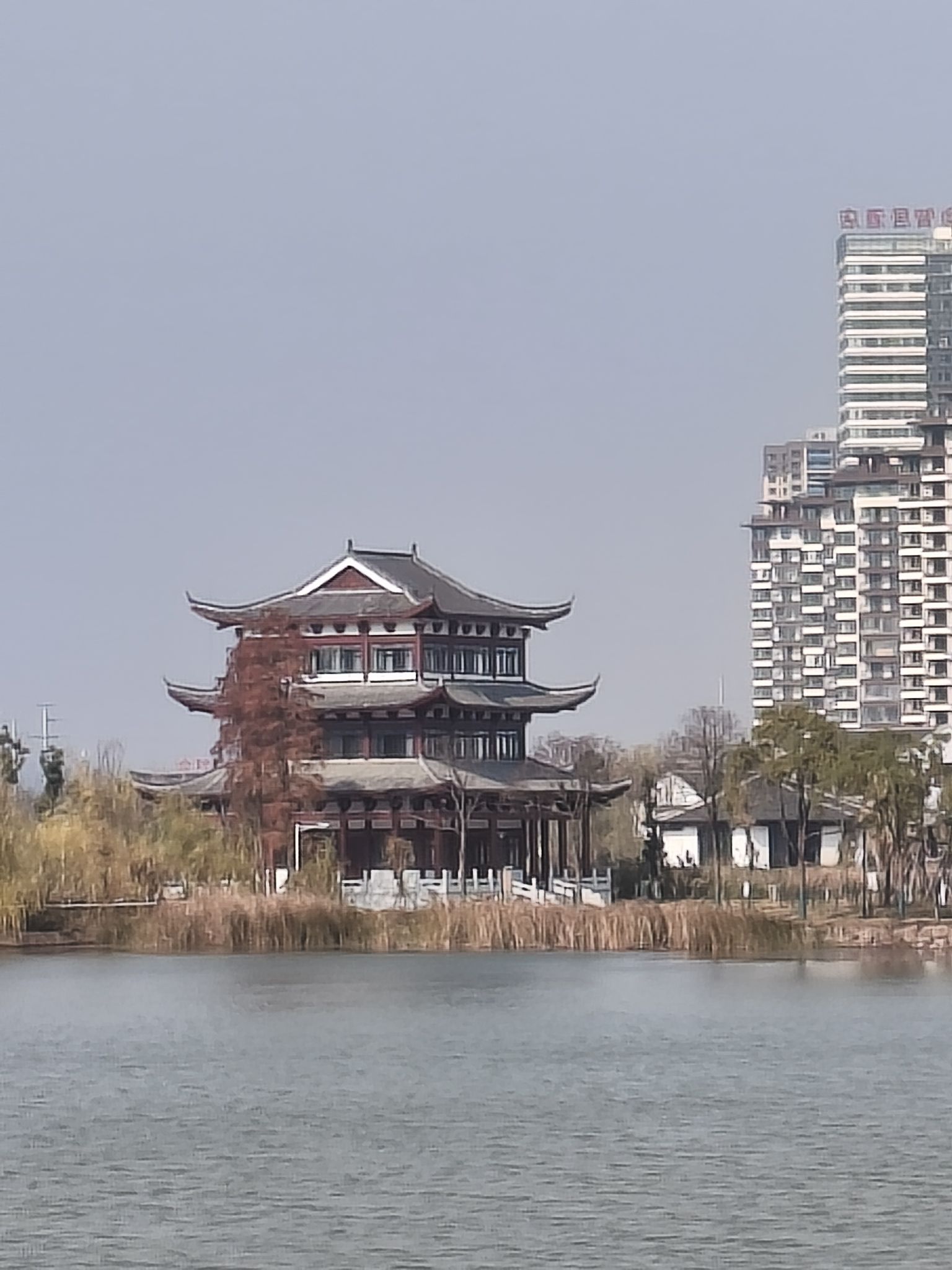 酃湖公园旅行图片 2