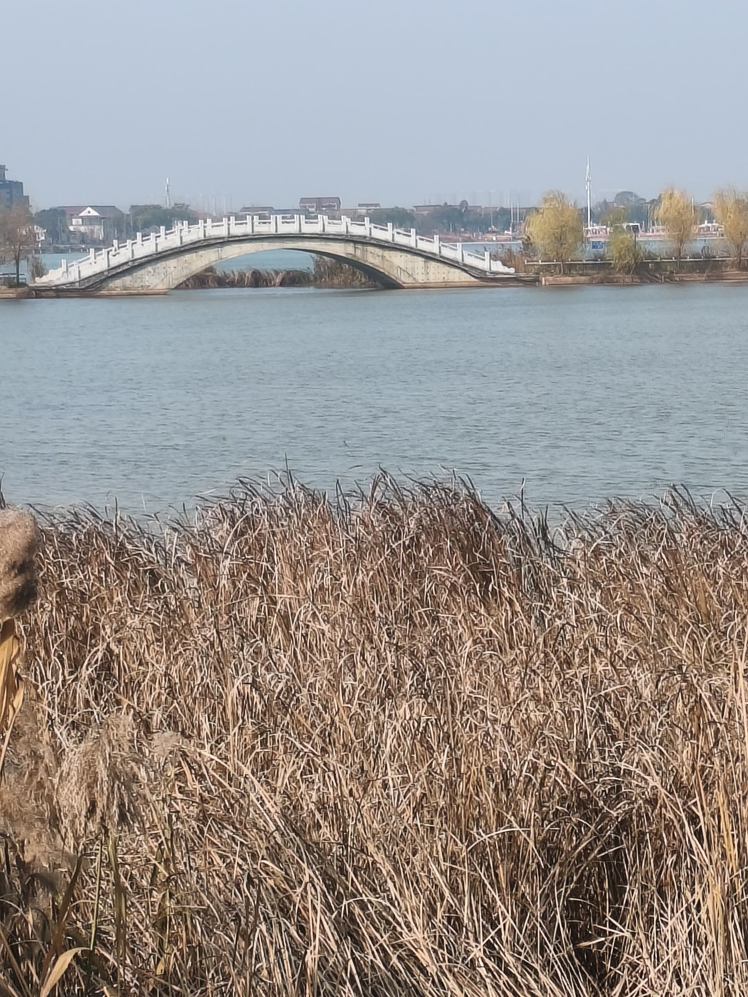 酃湖公园旅行图片 1