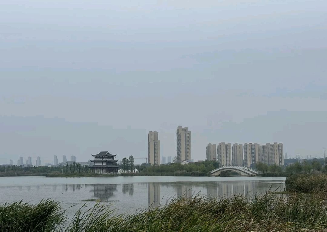 酃湖公园旅行图片 1