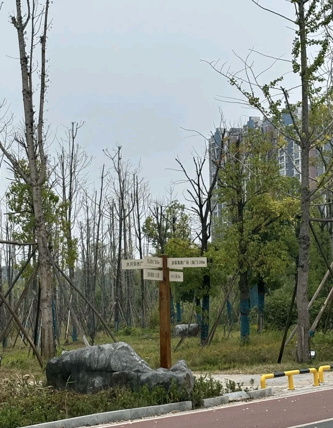 酃湖公园旅行图片 2