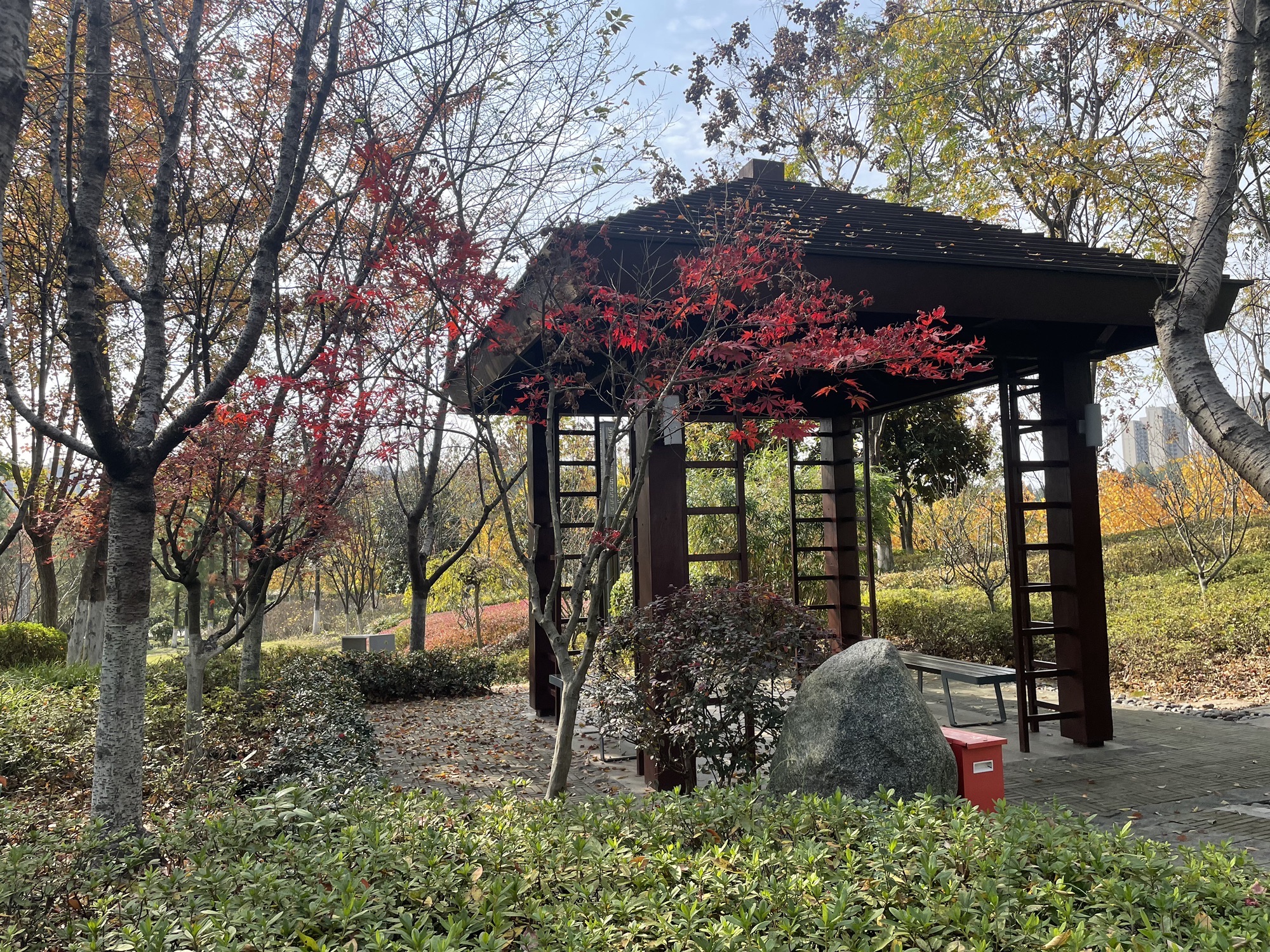 求雨台公园旅行图片 2