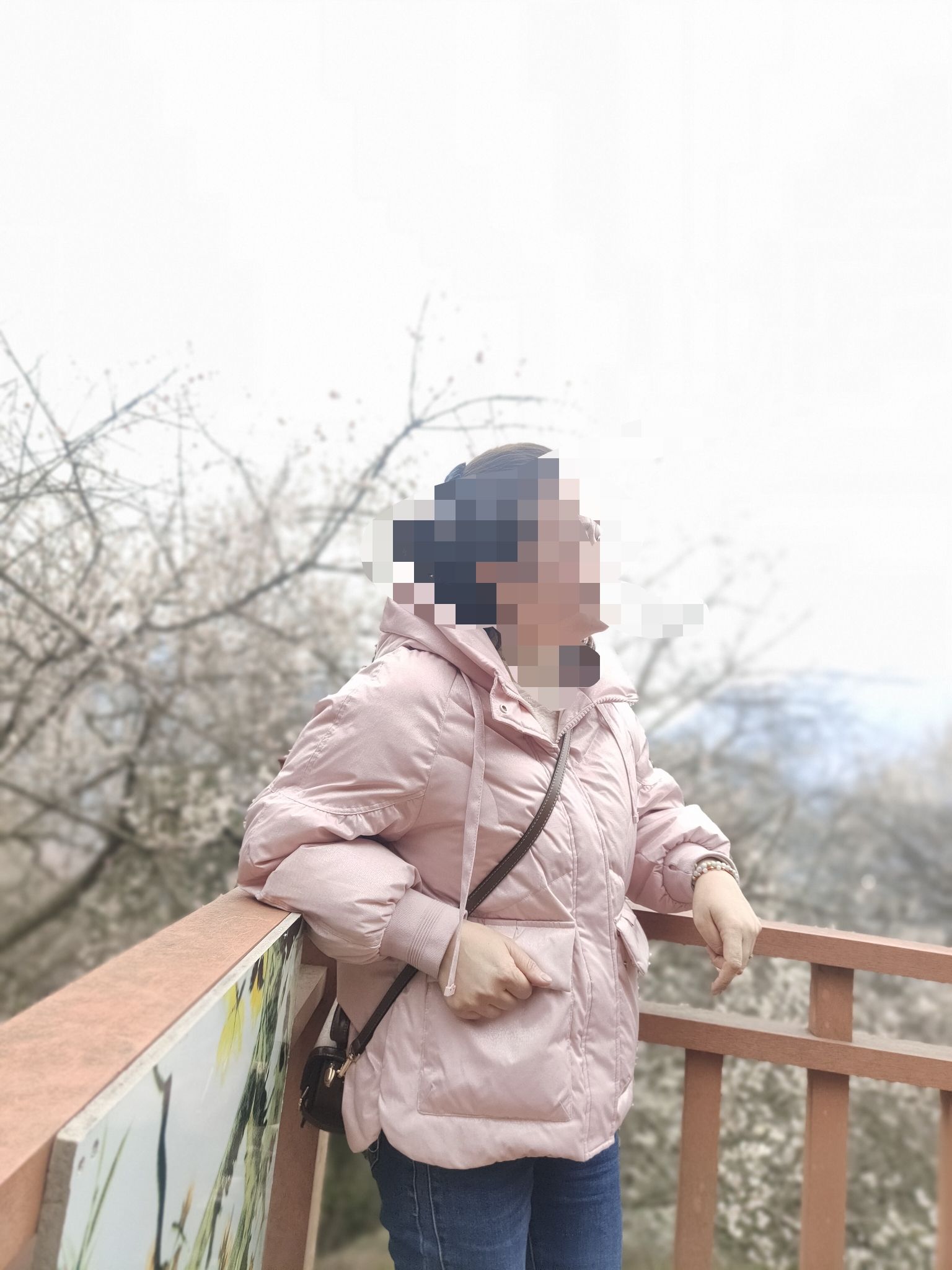 平武平通梅花园旅行图片 1