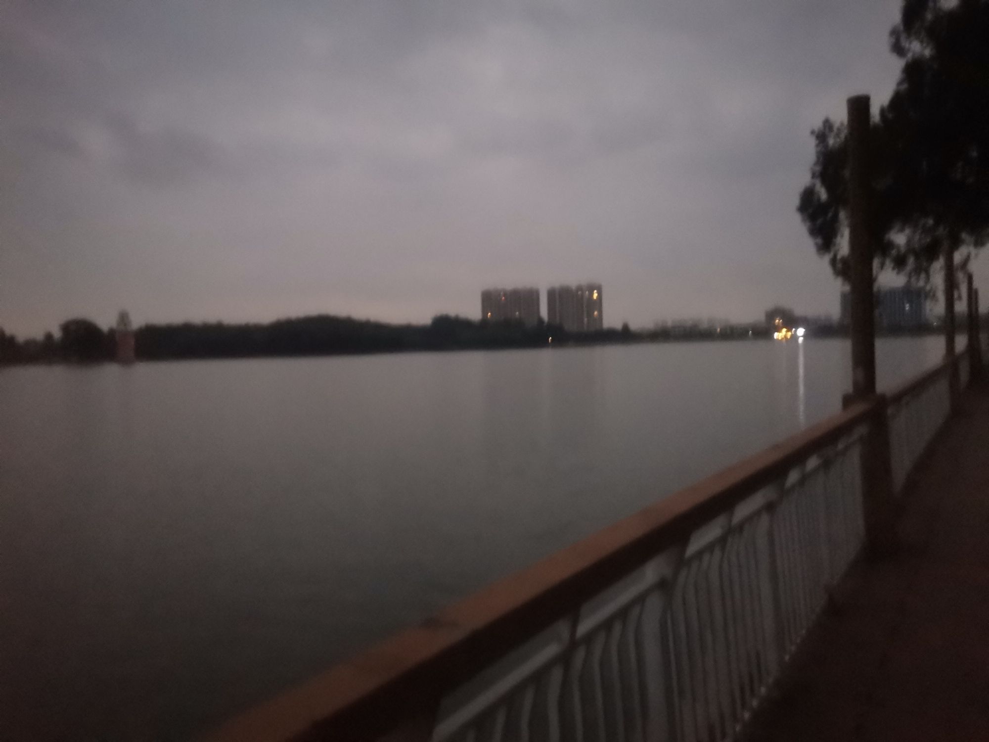 仙湖度假区旅行图片 3