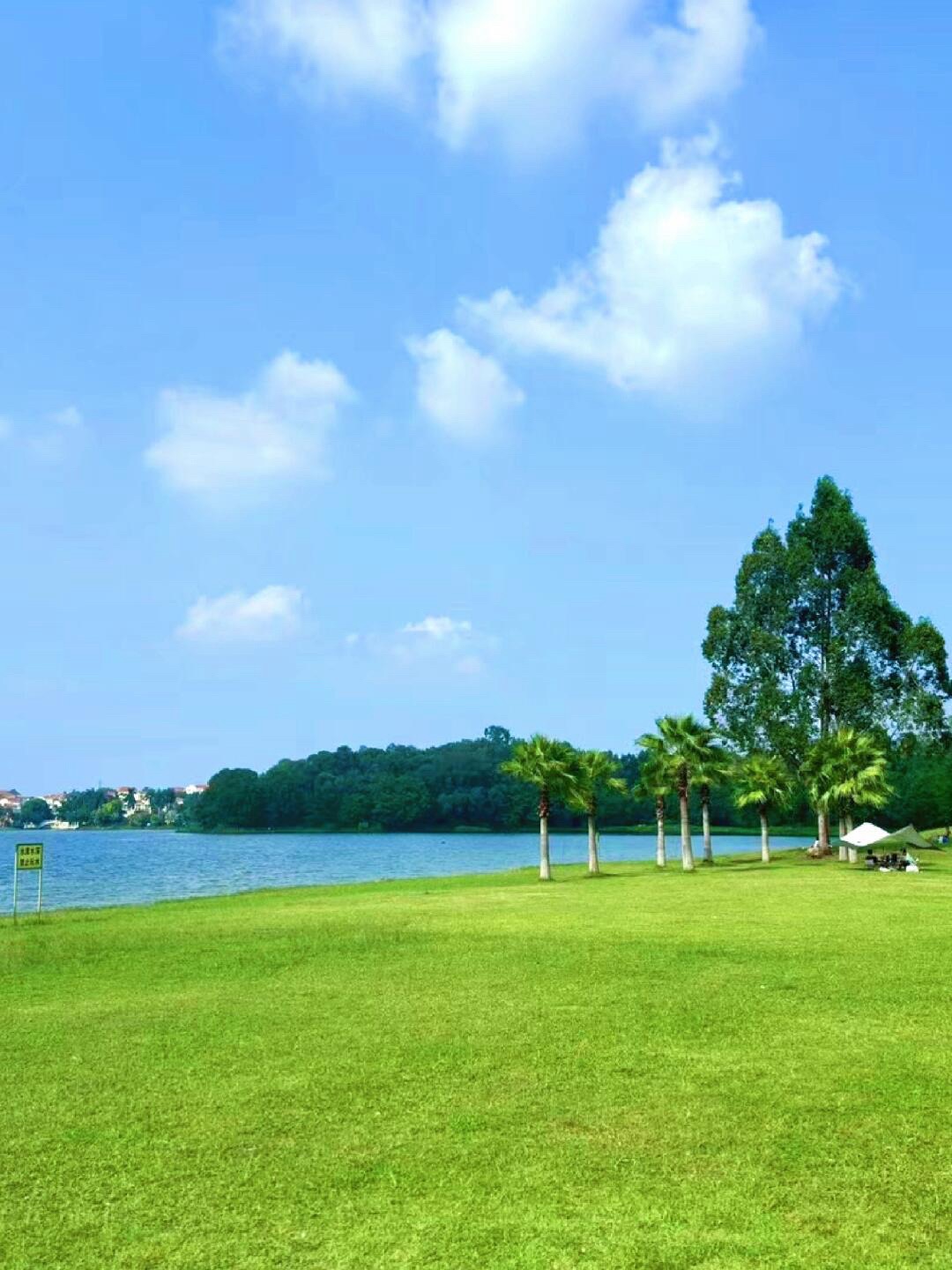 仙湖度假区旅行图片 1
