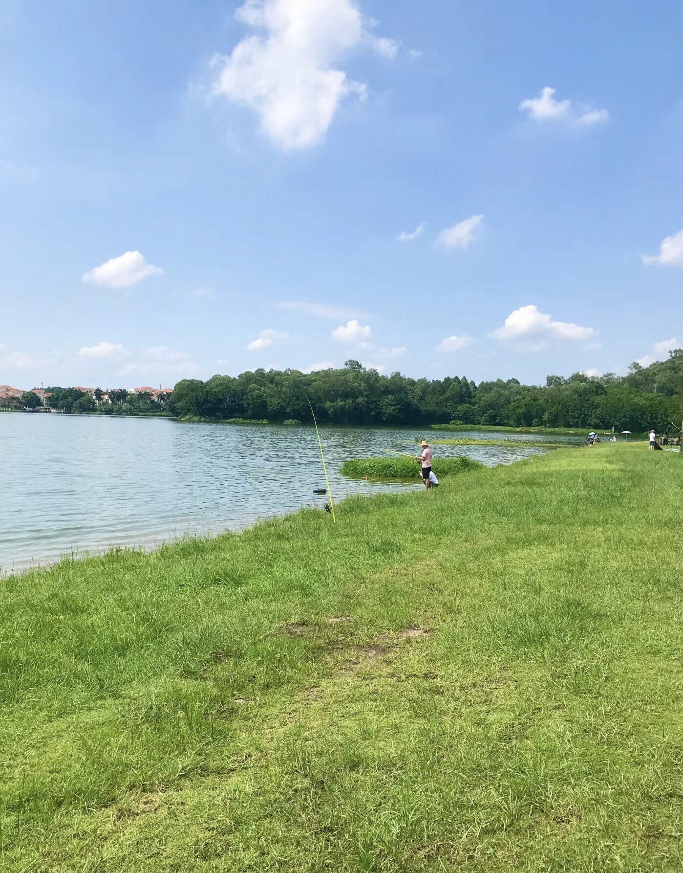仙湖度假区旅行图片 3