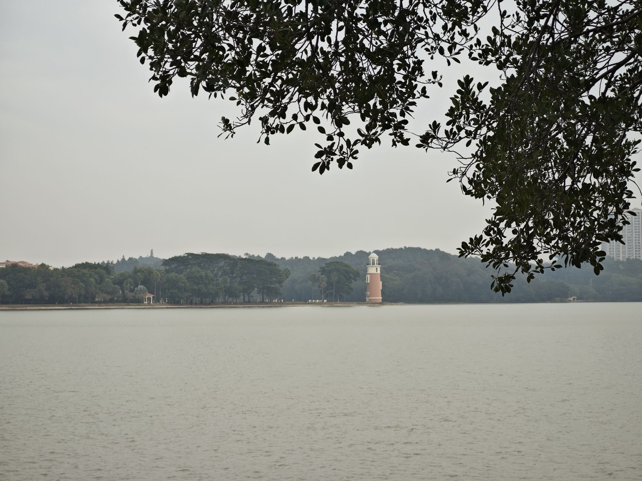 仙湖度假区旅行图片 2