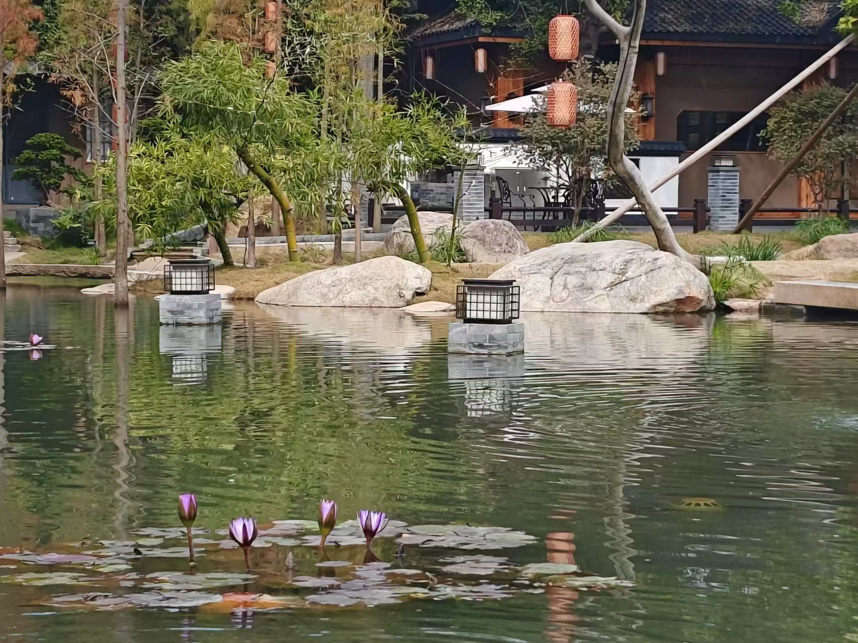 仙湖度假区旅行图片 3