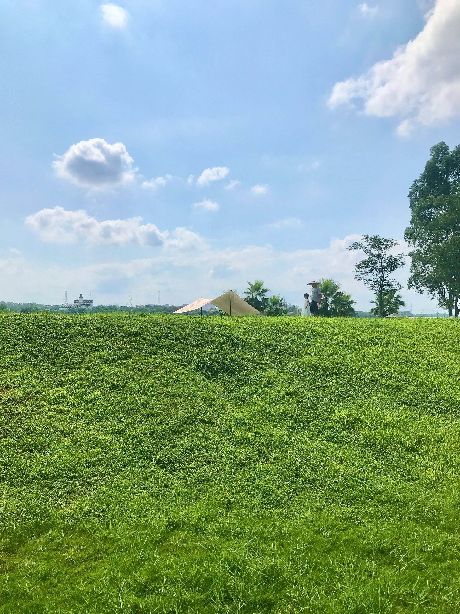 仙湖度假区旅行图片 1